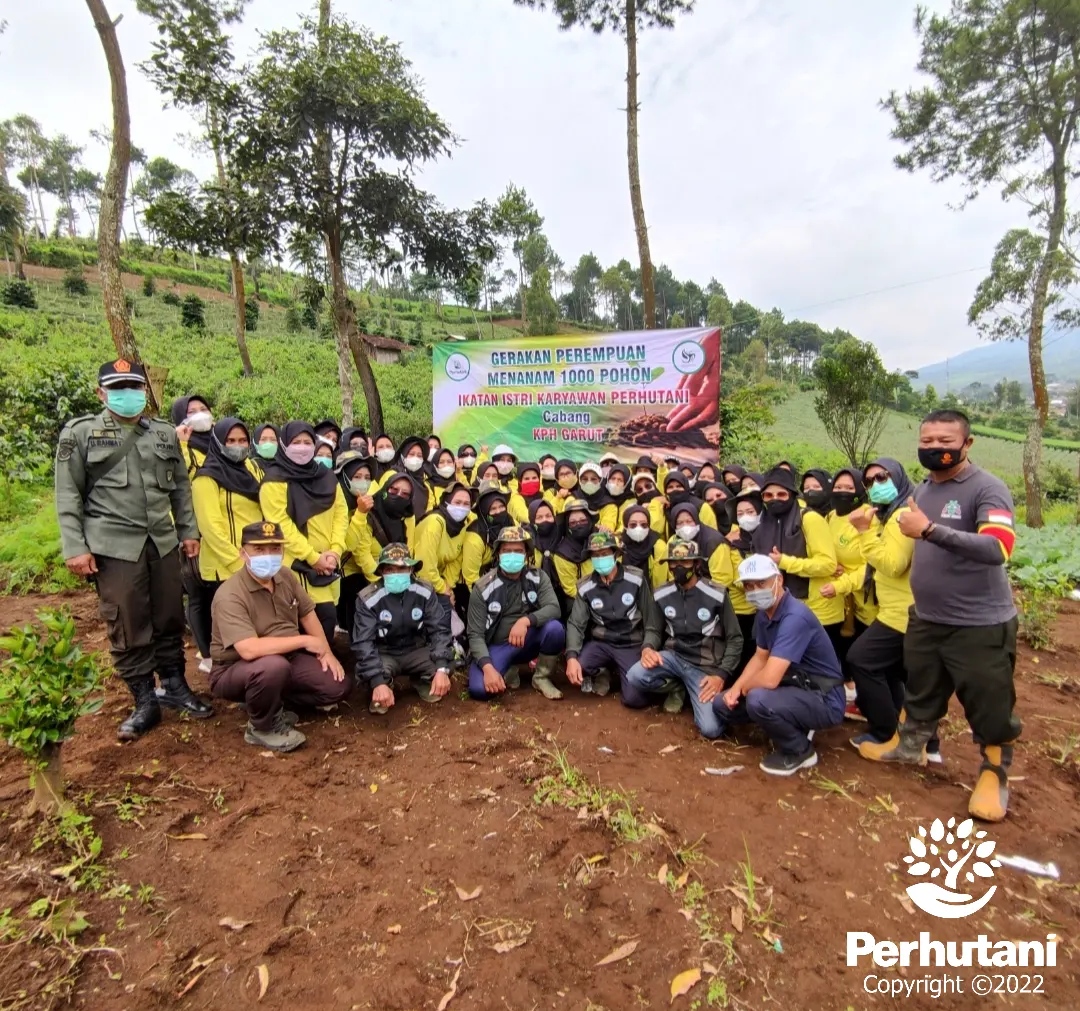 Perhutani Iik Perhutani Tanam Bibit Bersama Lmdh Riyadul Jannah Desa Cikandang Perhutani 9449