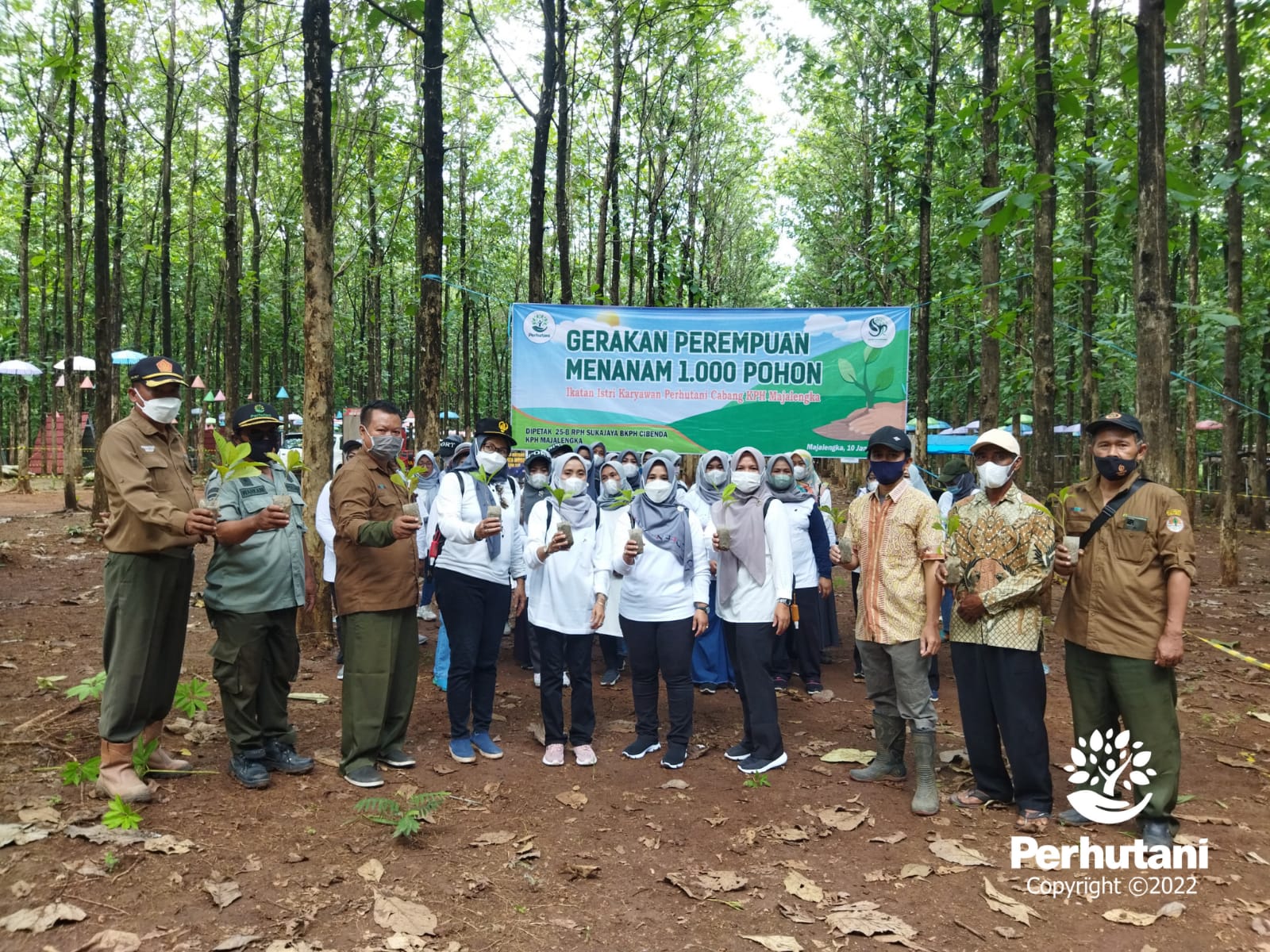 Perhutani IKATAN ISTRI KARYAWAN PERHUTANI CABANG KPH MAJALENGKA DENGAN LMDH TANJUNG WIRU