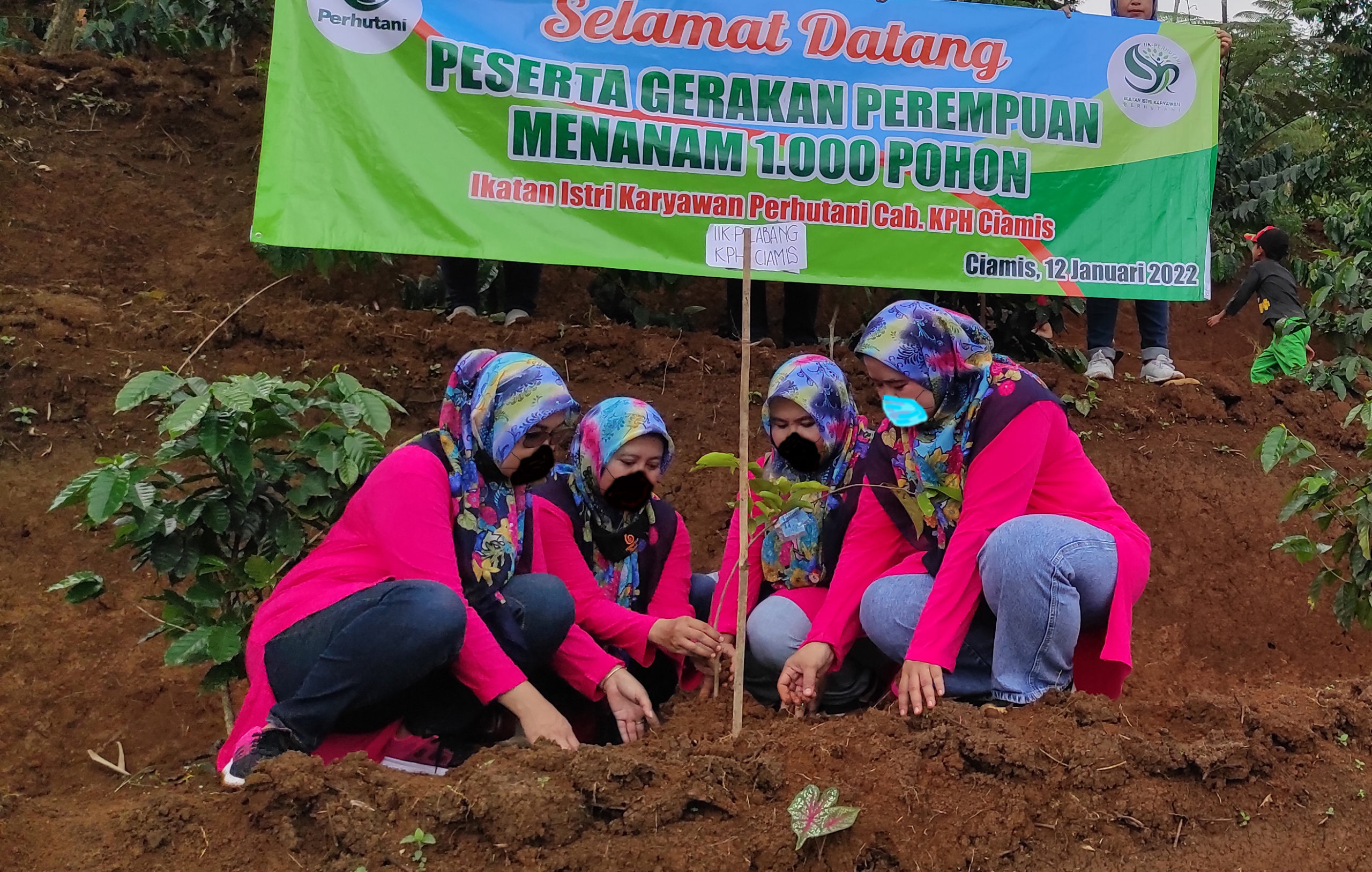 Perhutani Ikatan Istri Karyawan Perhutani Kph Ciamis Peduli Hutan Lakukan Gerakan Perempuan