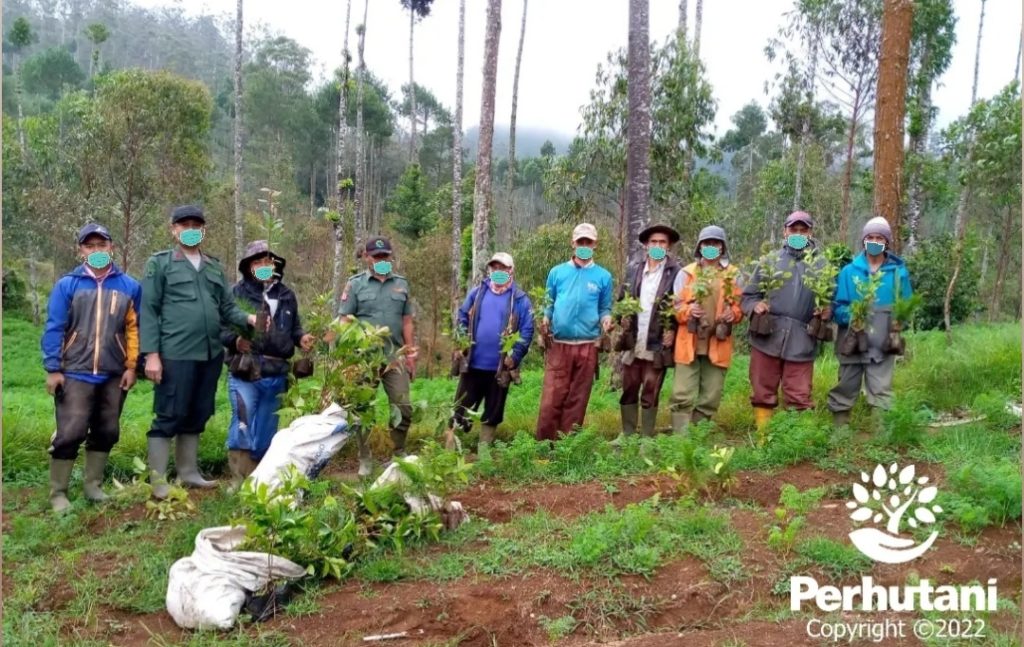 Perhutani Perhutani Bersama Lmdh Rimbamukti Melakukan Penanaman Di Desa Linggarjati Perhutani 5165