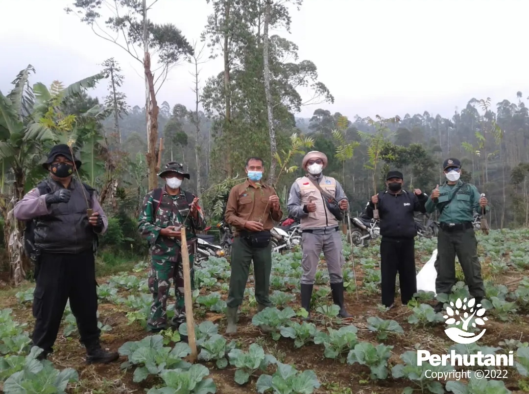 Perhutani Siap Menjaga Dan Lestarikan Hutan Perhutani Bersama Lmdh Wanariksa Menanam Di Desa