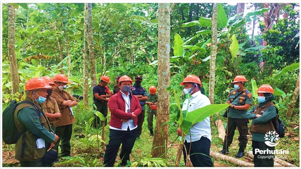 Perhutani Perhutani Tasikmalaya Libatkan Mdh Dalam Pengelolaan Hutan Berkelanjutan 9145