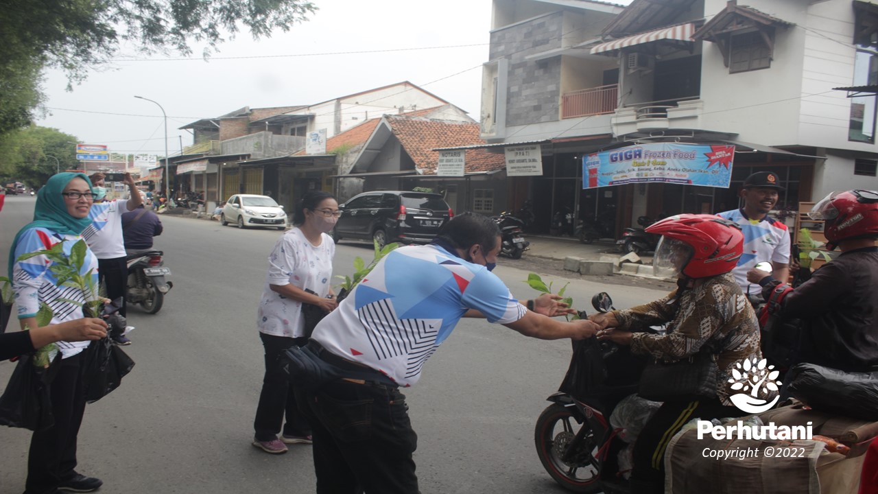 Perhutani Menyambut HUT Ke-61, Perhutani Bagi-Bagi Bibit Dan Tanam ...