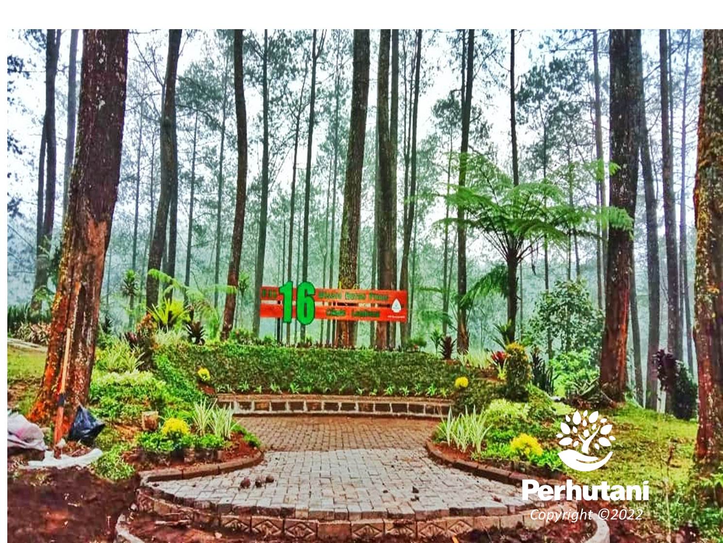 Perhutani Sambut Lebaran Tahun 2022 Perhutani Kph Bandung Utara Benahi Fasilitas Wisata Pal 16 0252