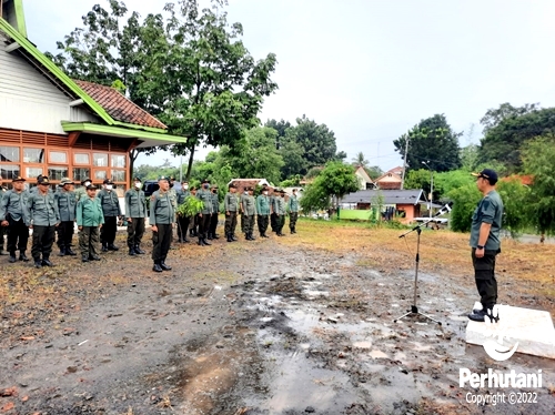 Perhutani PERHUTANI BERSAMA LMDH GELAR APEL SIAGA KEAMANAN HUTAN DI INDRAMAYU Perhutani