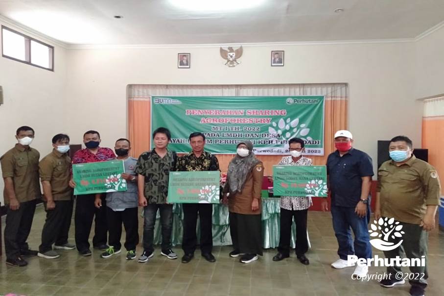 Perhutani Perhutani Serahkan Sharing Agroforestry Kepada Lmdh Dan Kepala Desa Di Purwodadi