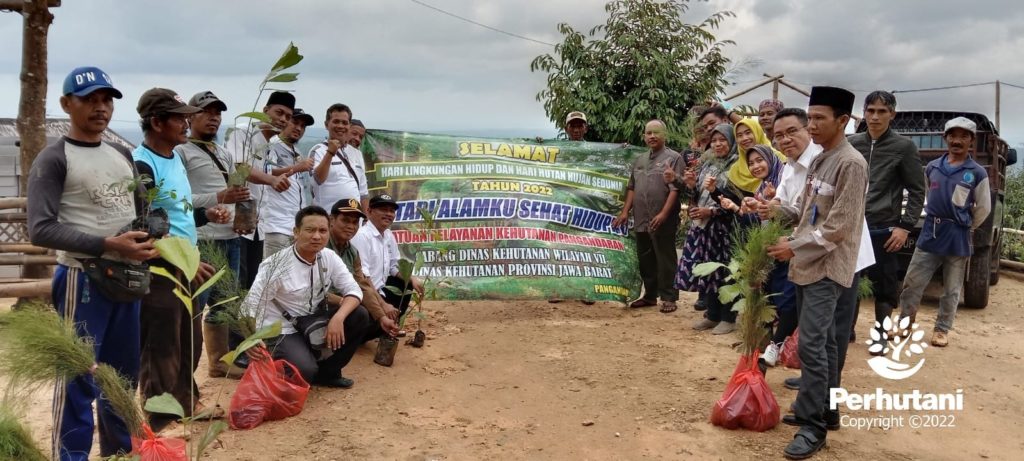 Perhutani Perhutani Bersama Stakeholder Peringati Hari Lingkungan Hidup ...