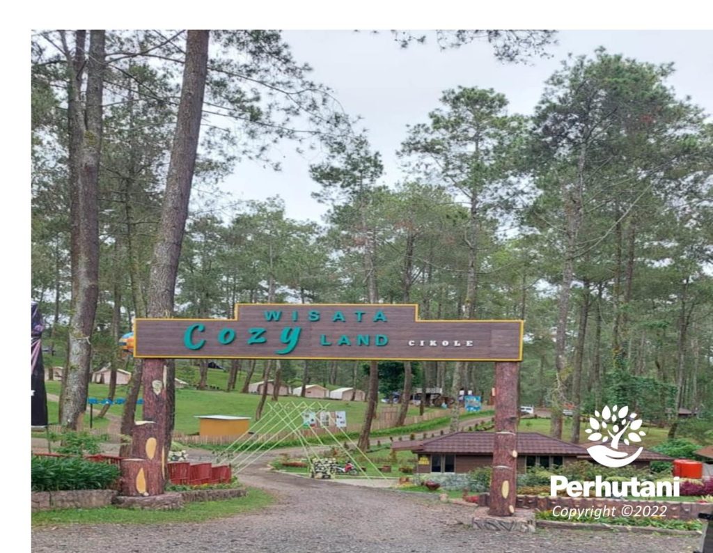 Perhutani Cozy Land Wisata Hutan Pinus Yang Di Rekomendasi Untuk Piknik Keluarga 4754