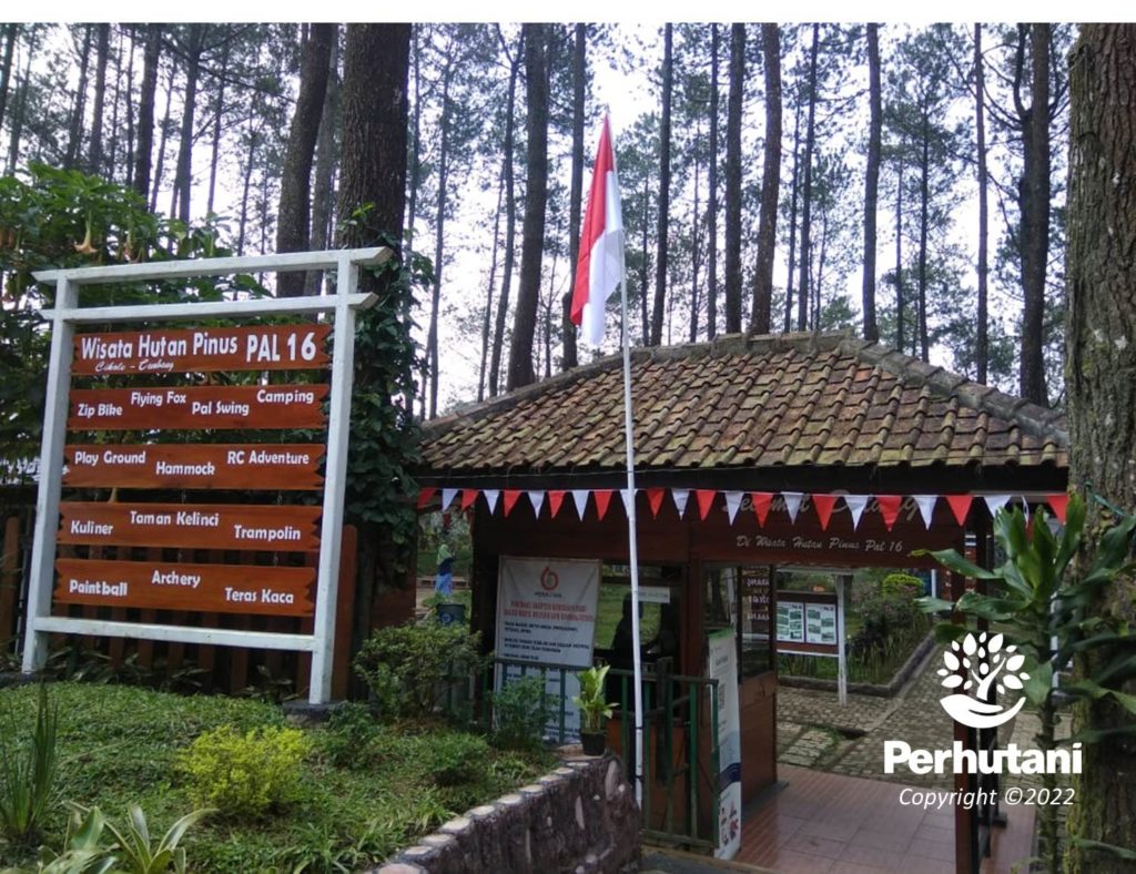 Perhutani Sambut Hari Kemerdekaan Ri Perhutani Bandung Utara Dekorasi Pintu Masuk Wisata Pal 16 9749
