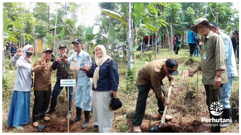 Perhutani Atasi Tuplah Perhutani Bersama Cdk And Stakeholder Lakukan