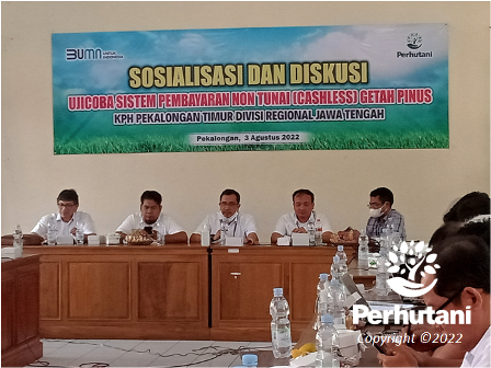 Perhutani Perhutani Gelar Sosialisasi Pembayaran Cashless Getah Pinus Di Pekalongan Timur