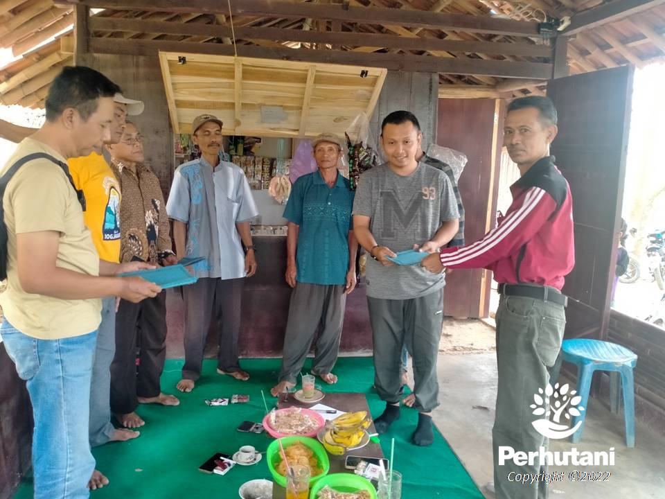 Perhutani Perhutani Serahkan Sharing Produksi Kapuk Randu Tahap I Ke Lmdh Di Kebonharjo Perhutani 7785