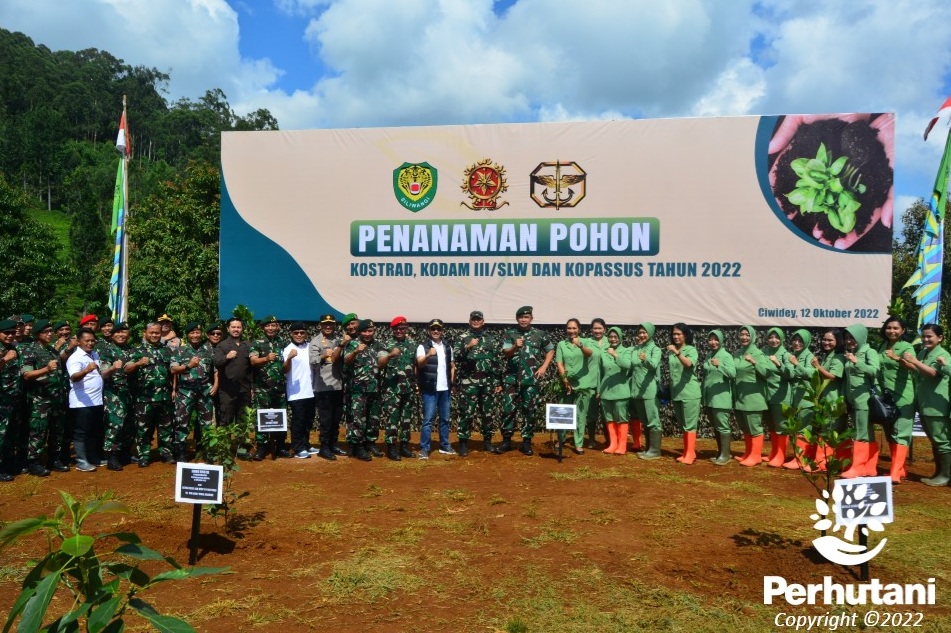 Perhutani Perhutani Bersama Kostrad Lakukan Penanaman Pohon Di Ciwidey Bandung Perhutani