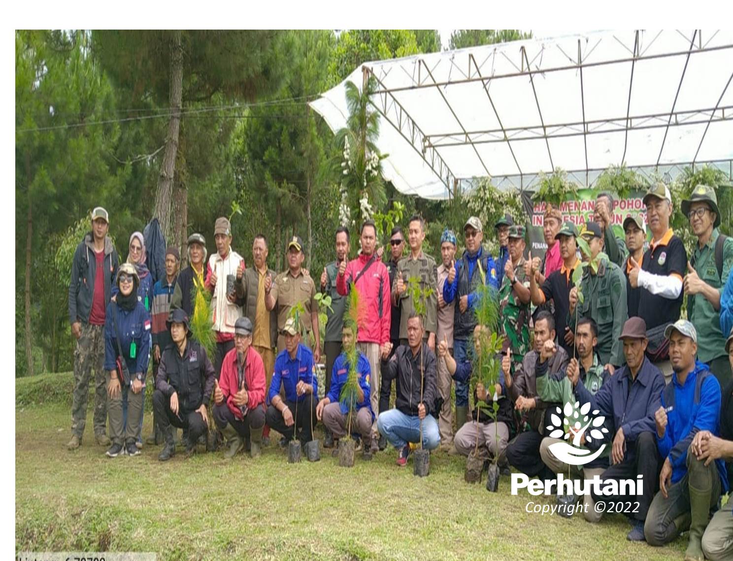 Perhutani Peringati Hmpi Perhutani Bandung Utara Bersama Lmdh Lakukan Penanaman Bersama 8016