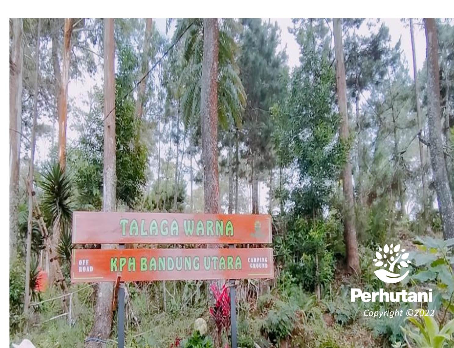 Perhutani Jelang Ahir Tahun Perhutani Bersama Lmdh Benahi Lokasi Wisata Talaga Warna Di Bandung 8670