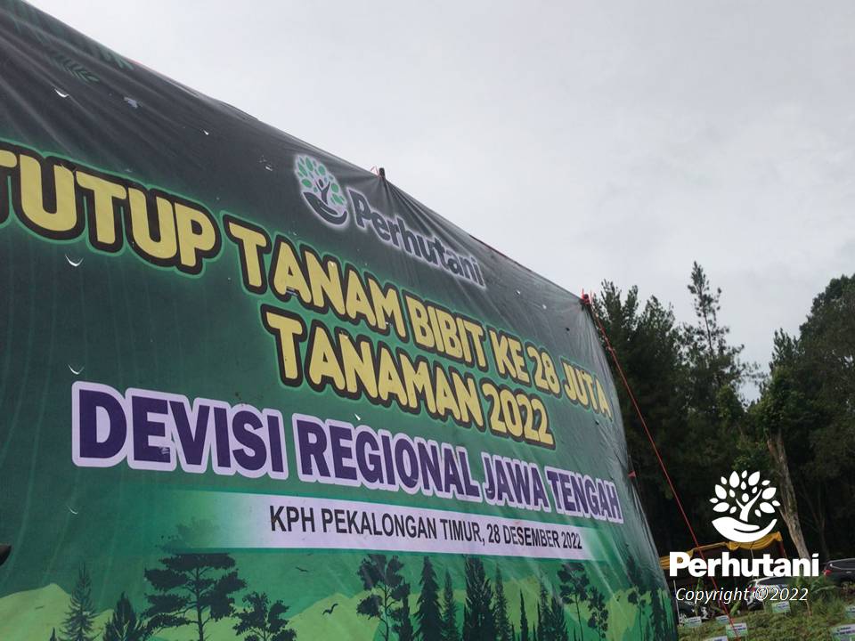 Perhutani Perhutani Divisi Regional Jawa Tengah Capai Target Tanam Bibit Ke Juta Tahun