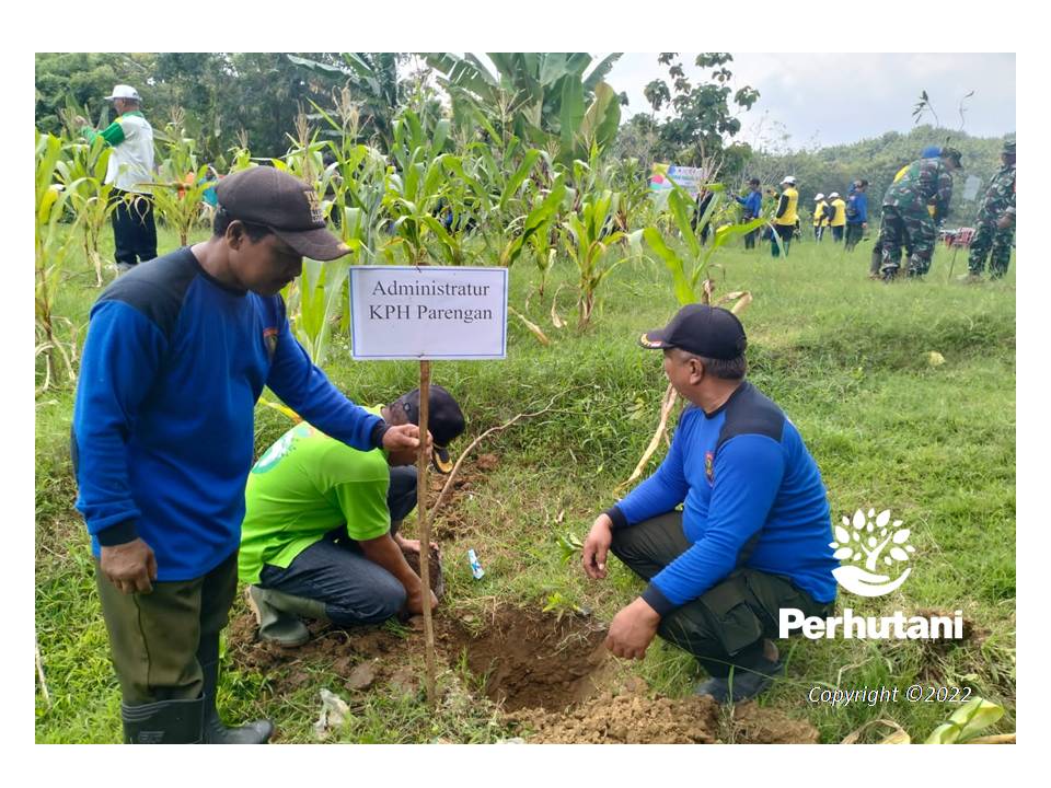 Perhutani Perhutani Bersama Stakeholders Terkait Lakukan Penanaman Bersama Perhutani