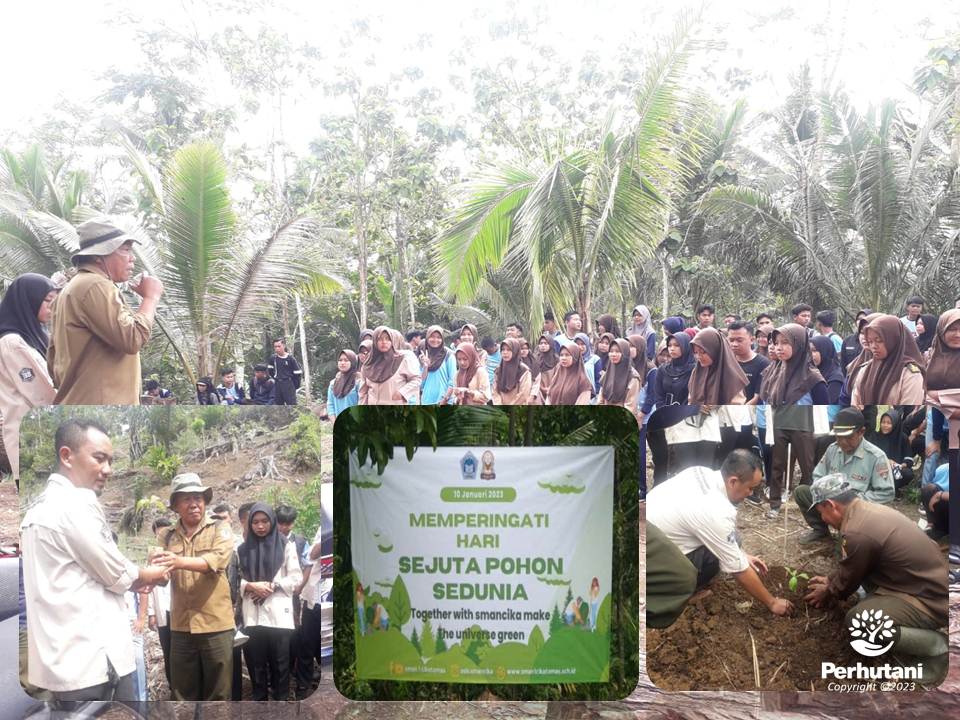 Perhutani Peringati Hari Sejuta Pohon Perhutani Tasikmalaya