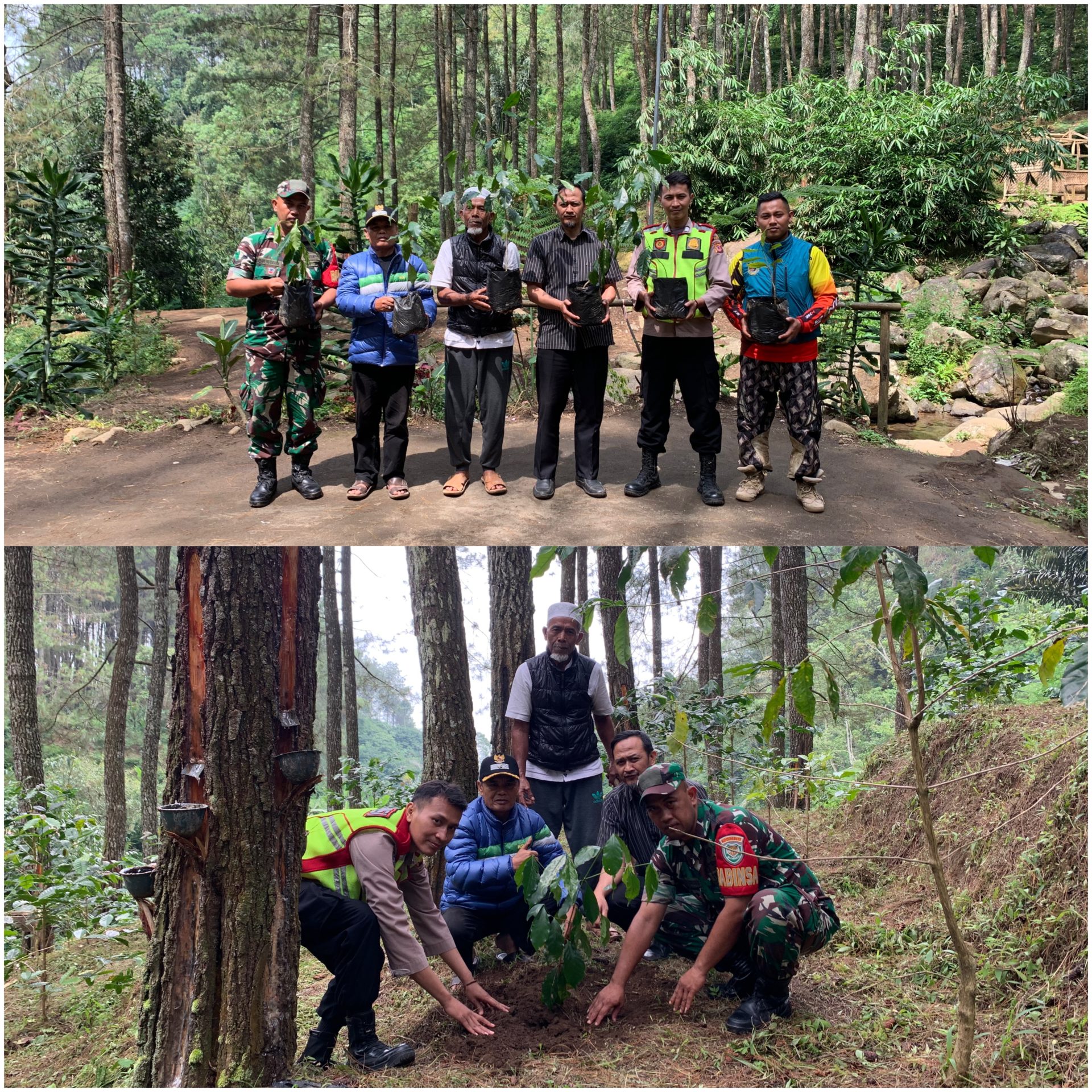 Perhutani Perhutani Garut Bersama Lmdh Bina Warga Lakukan Penanaman Bersama Perhutani 9674