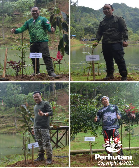 Perhutani Lestarikan Pohon Endemik, Perhutani Adakan Penanaman Bersama ...