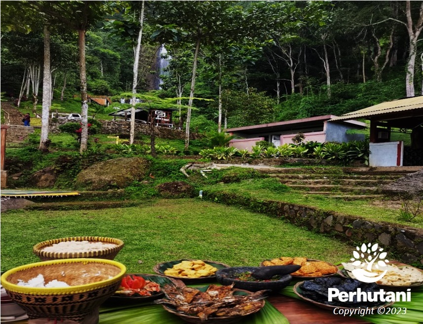 Perhutani Wisata Alam Perhutani Curug Pletuk Sajikan Gemericik Air Terjun Serta Kuliner Khas 5875