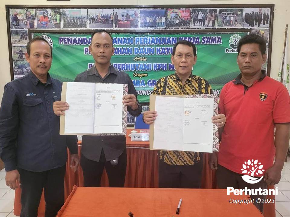 Perhutani Perhutani Ngawi Bersama Ud Rimba Group Teken Pks Pengolahan Dkp