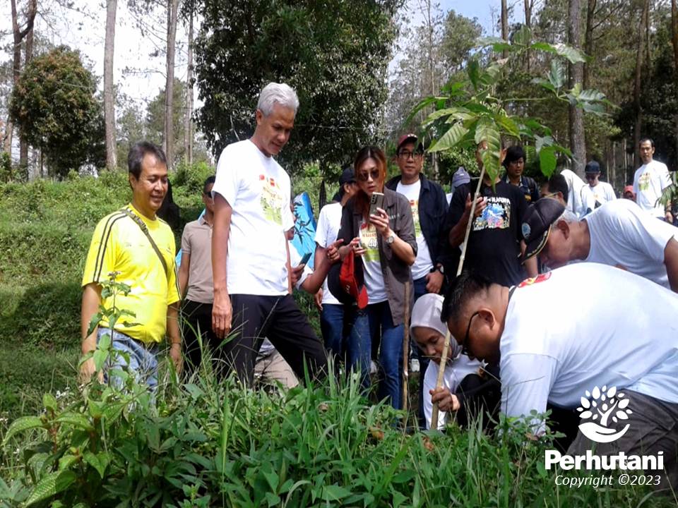 Perhutani Perhutani Bersama Gubernur Jawa Tengah Dan Majestic Tanam Pohon Di Gunung Ungaran
