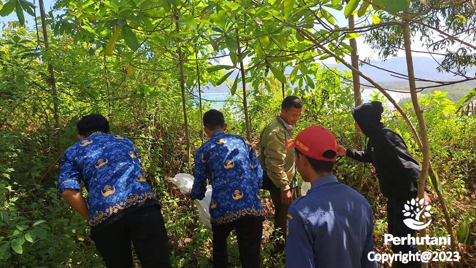 Perhutani Perhutani Bersama Cdk Dan Dinas Damkar Lepasliarkan Satwa Di Alam Bebas