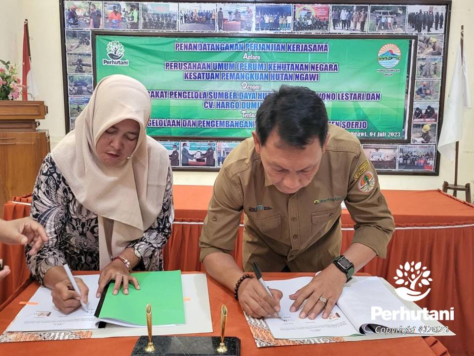 Perhutani Perhutani Bersama MPSDH Dan CV Hargo Dumilah Teken PKS ...