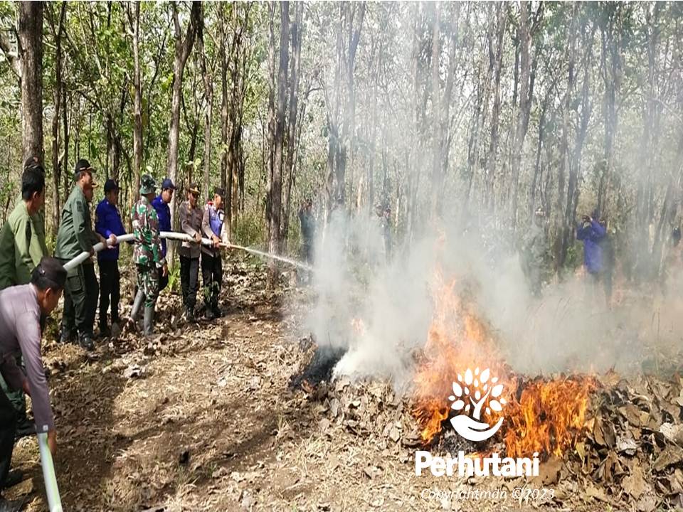 Perhutani Perhutani Madiun Gandeng Stakeholder Lakukan Sosialisasi