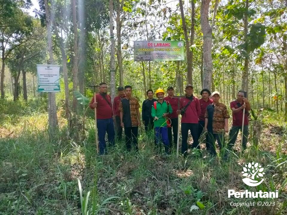 Perhutani Perhutani Bersama MPA “CONDROMOWO” Gayam Patroli Cegah ...