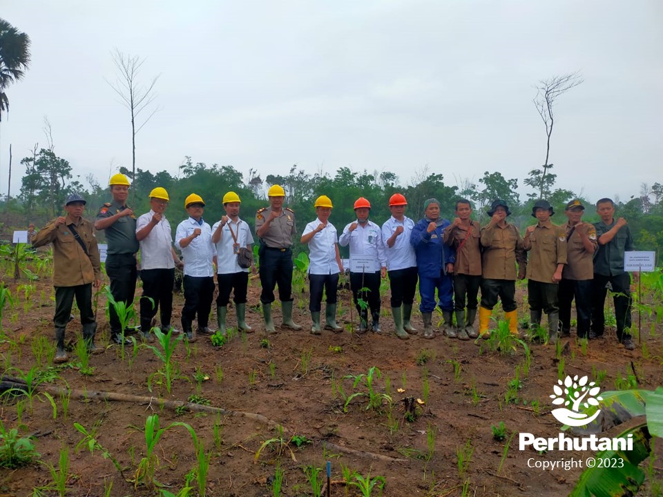 Perhutani Peringati HMPI Perhutani Bersama LMDH Harapan Maju Tanam Pohon Di Lebak Banten