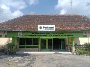 Perhutani Kph Padangan