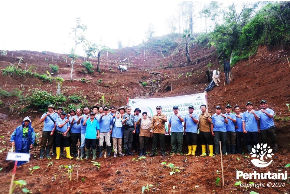 Perhutani Perhutani Lakukan Penanaman Bersama Di Bruno Purworejo